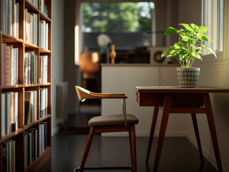 Ruhige Lernecke in einer Wohnung mit Bücherregal, Pflanze und Stuhl am Schreibtisch